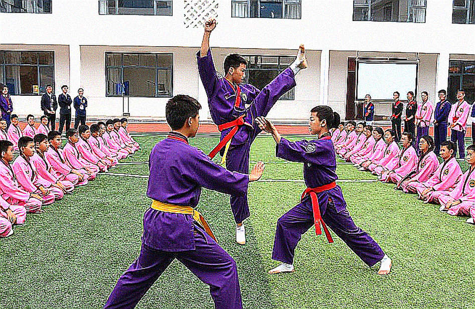 Asiad 2026: Team Medals and the Individual Gap in Vietnam's Taekwondo File Asiad 2026: Team Medals and the Individual Gap in Vietnam's Taekwondo File