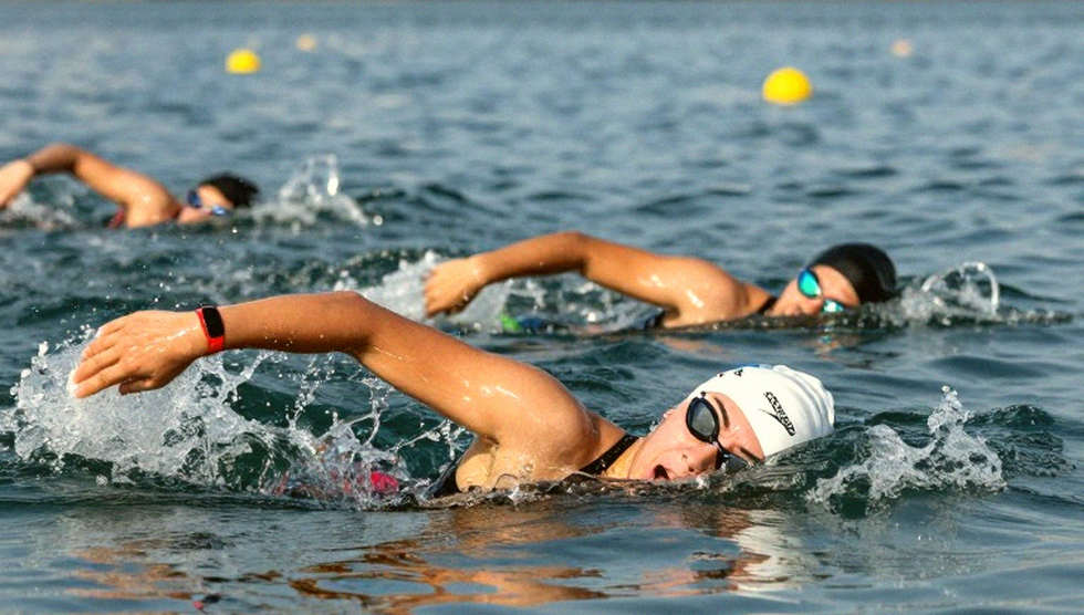 GTSA Swim Classic 2026: Addie Farrier, Gabriel Brown và giới hạn của một tấm bảng điện tử