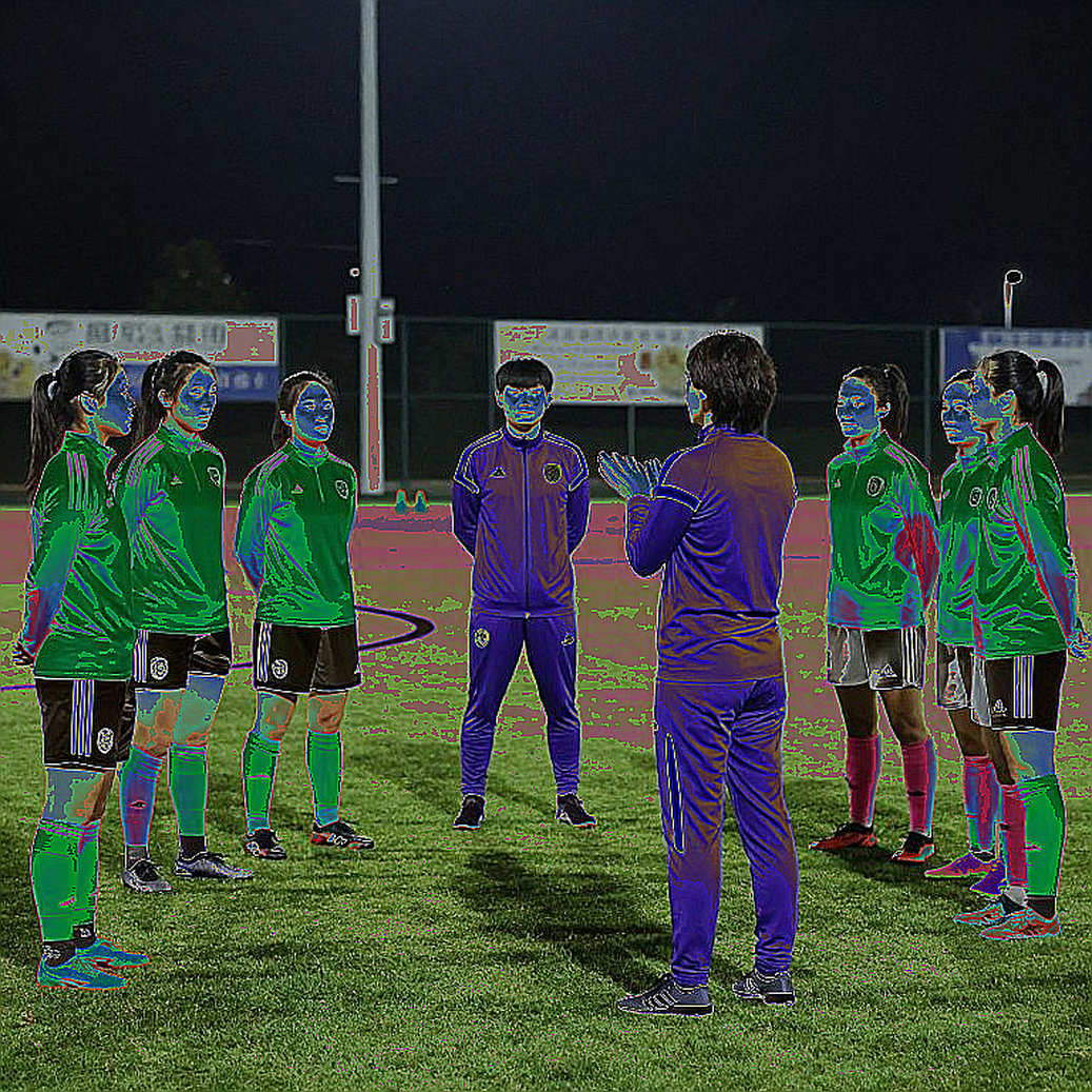 VAR in the V-League: The Referee Dataset and the Cost of Fixture Density