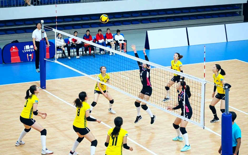 Vietnamese Women's Volleyball: The Reception Line Decides the Standings, Not the Imports Vietnamese Women's Volleyball: The Reception Line Decides the Standings, Not the Imports